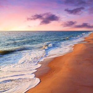 Meet your Posher, Maddie